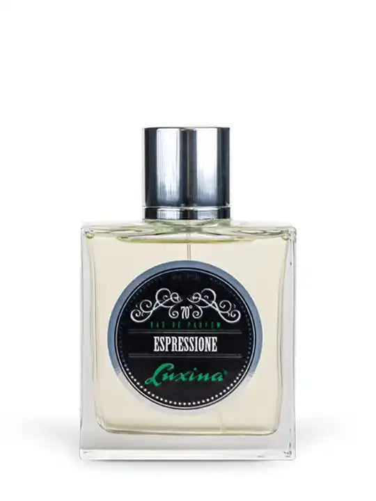 Luxina uomo parfum bottle, 100ml, italian men's fragrance with elegant design and quality craftsmanship