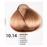 Зареди изображението в галерията, Fanola Brown 10.14 hair color swatch displaying a rich almond shade, showcasing smooth, shiny hair texture.
